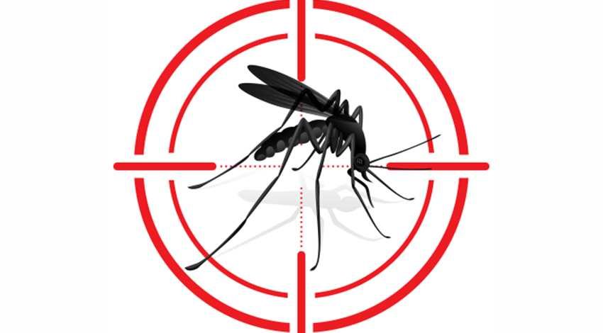 Boca do Acre, no AM, registra surto de dengue com aumento de 181% nas notificações da doença